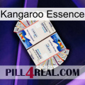 Kangaroo Essence kamagra1